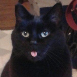 Meet your Posher, Lynda